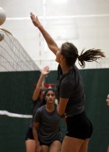 perry-hamm_v-volleyball_fall-2016