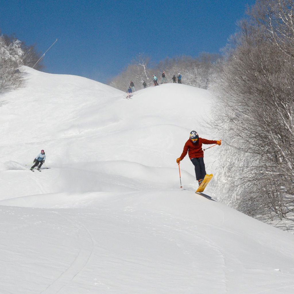 xr:d:DAF6iXh6p3I:24,j:8807208663325584049,t:24022313