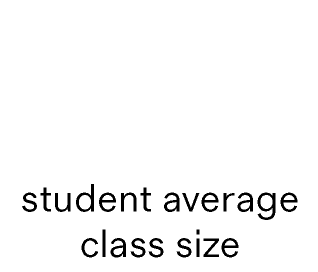 12 student average class size