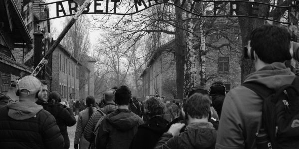 Copy of 7EF19B40-0771-40DA-8474-C96E48C755BE-6630-00000276A09098AB