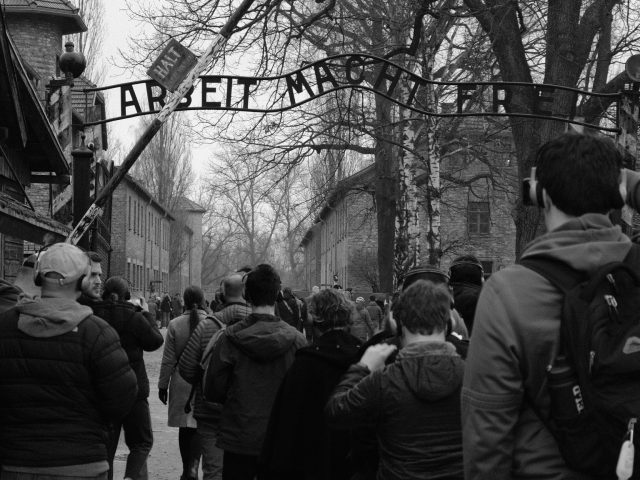 Copy of 7EF19B40-0771-40DA-8474-C96E48C755BE-6630-00000276A09098AB