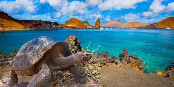The-Galapagos-Islands-Will-Raise-Its-Entrance-Fee-Dramatically-For-The-First-Time-In-25-Years