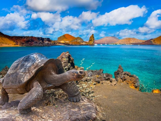 The-Galapagos-Islands-Will-Raise-Its-Entrance-Fee-Dramatically-For-The-First-Time-In-25-Years
