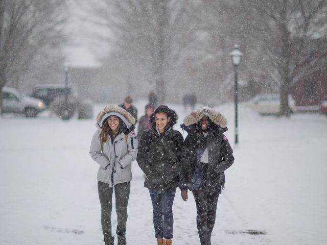 winter_campus, December 12, 2017 - 137